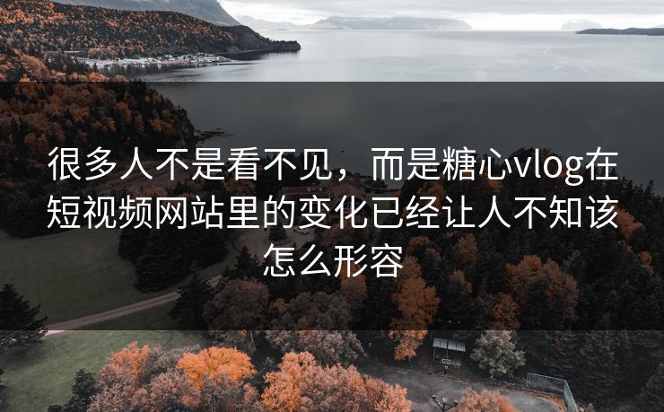 很多人不是看不见，而是糖心vlog在短视频网站里的变化已经让人不知该怎么形容