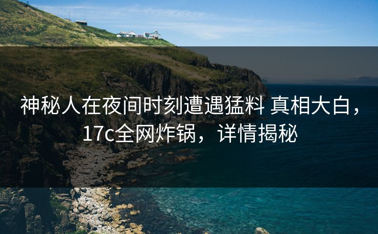 神秘人在夜间时刻遭遇猛料 真相大白，17c全网炸锅，详情揭秘