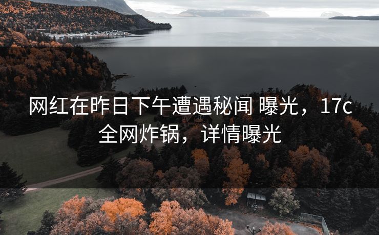 网红在昨日下午遭遇秘闻 曝光，17c全网炸锅，详情曝光