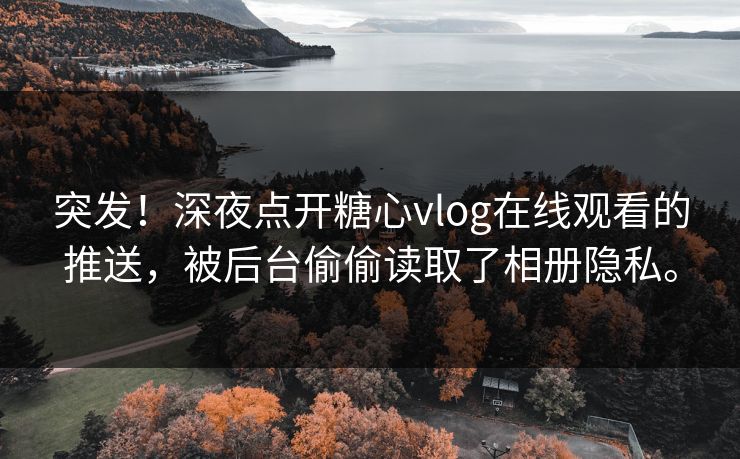 突发！深夜点开糖心vlog在线观看的推送，被后台偷偷读取了相册隐私。