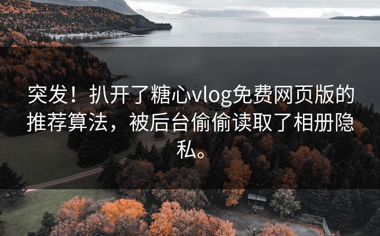 突发！扒开了糖心vlog免费网页版的推荐算法，被后台偷偷读取了相册隐私。