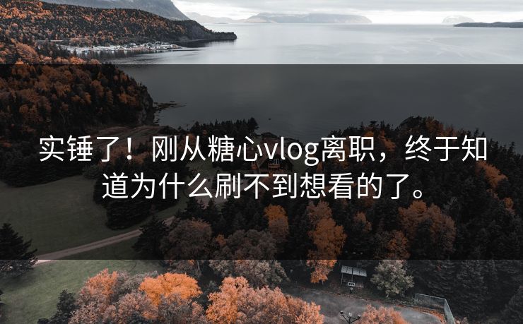 实锤了！刚从糖心vlog离职，终于知道为什么刷不到想看的了。